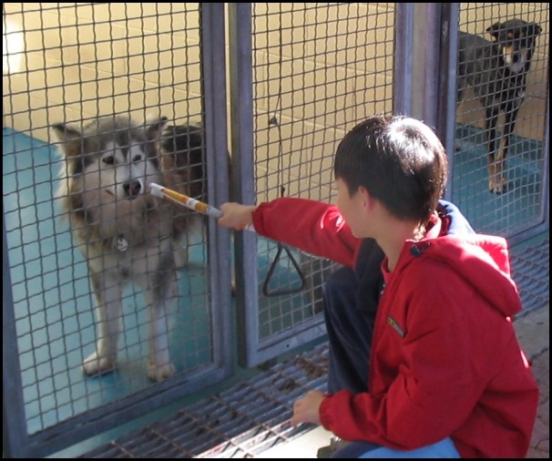 BCSPCA OCT 2006 023.jpg